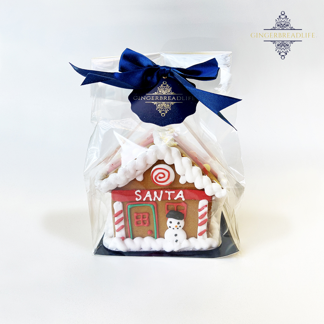 Branded gift bag with logo tag